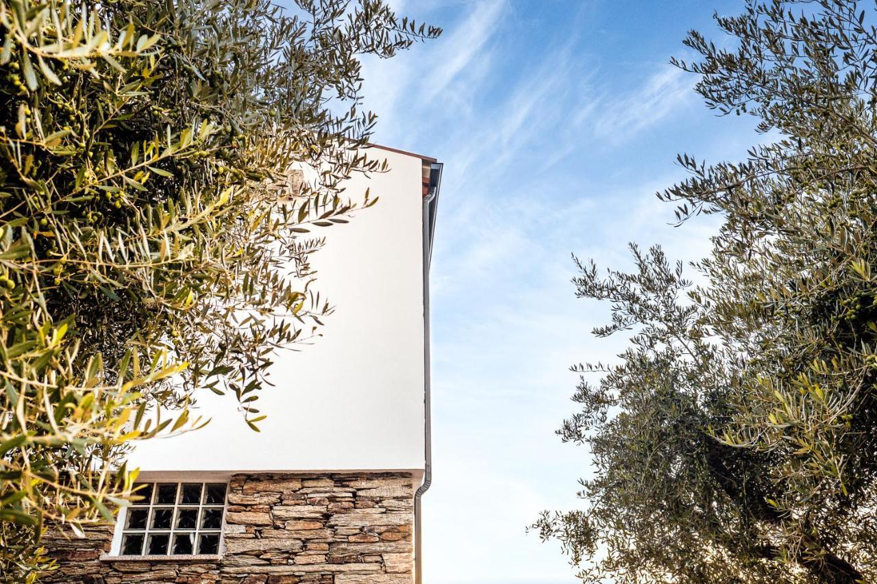 הוילה Valença do Douro Casa Com Piscina No Coracao Do Douro - Domaine Casa Valenca, מראה חיצוני תמונה